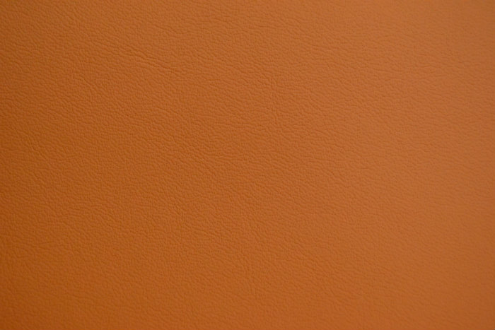 Burnt Orange 20:20 Leather