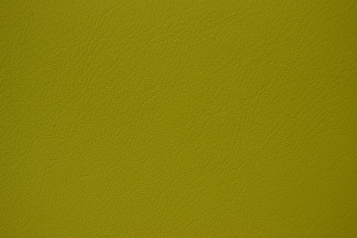 Parrot Caledonian 20:20 Leather