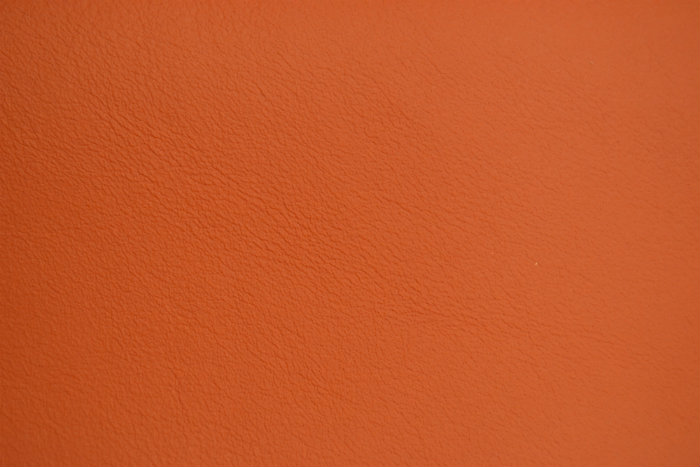 Titian 20:20 Leather